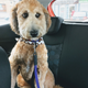 bad pic, but cute quizzical look